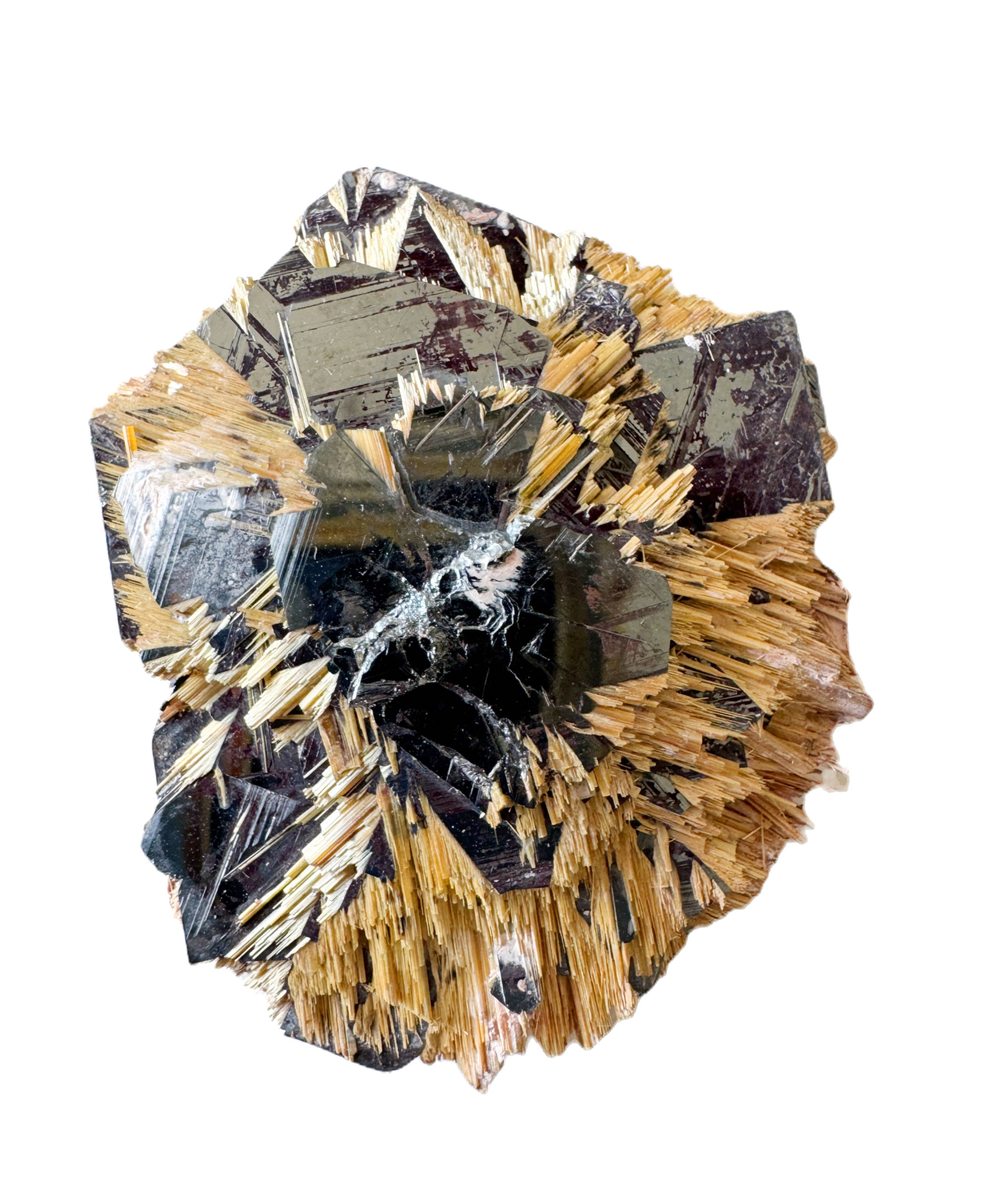 Rare Hematite and Golden Rutile