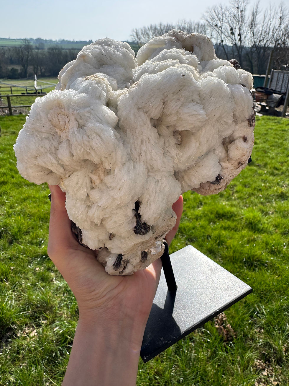 Thumbnail: Rare XL Cleavelandite in stand.