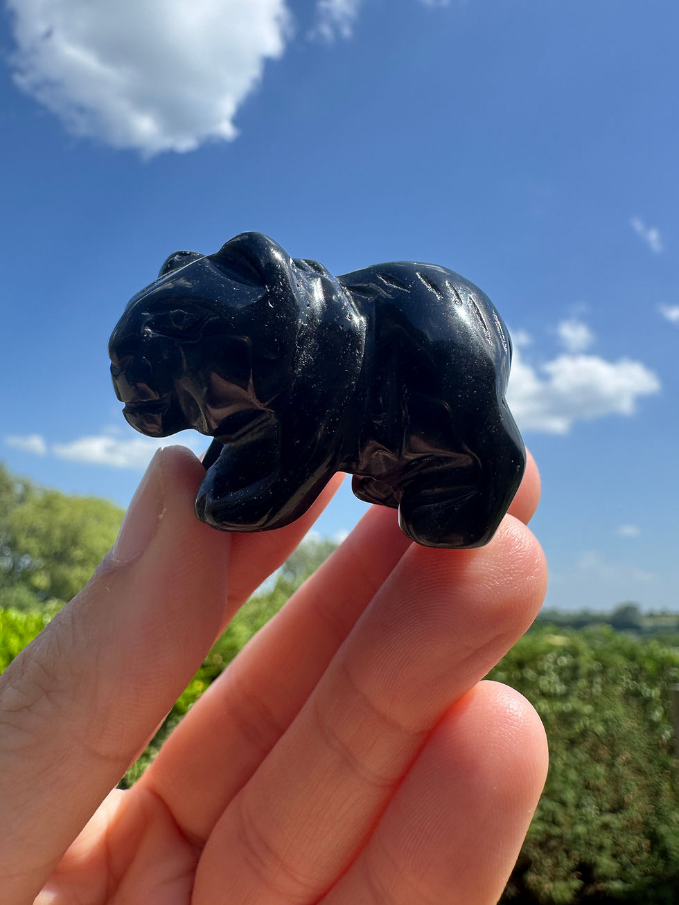 Thumbnail: Obsidian Hand Carved bear from Mexico