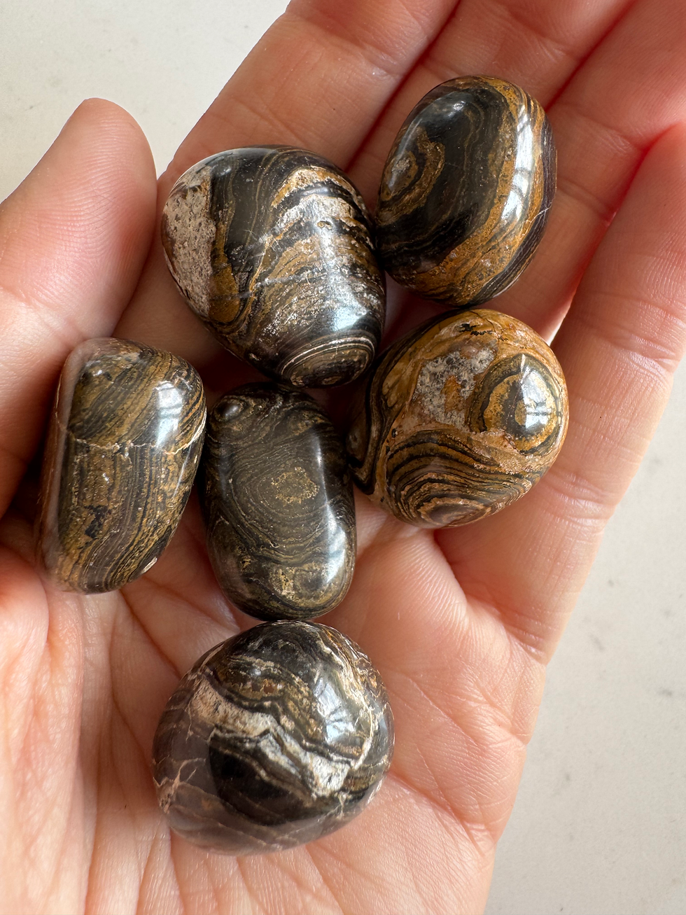 Thumbnail: Stromatolite tumble stone