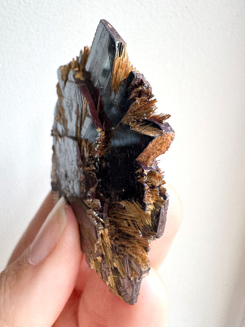 Thumbnail: Rare Hematite and Golden Rutile