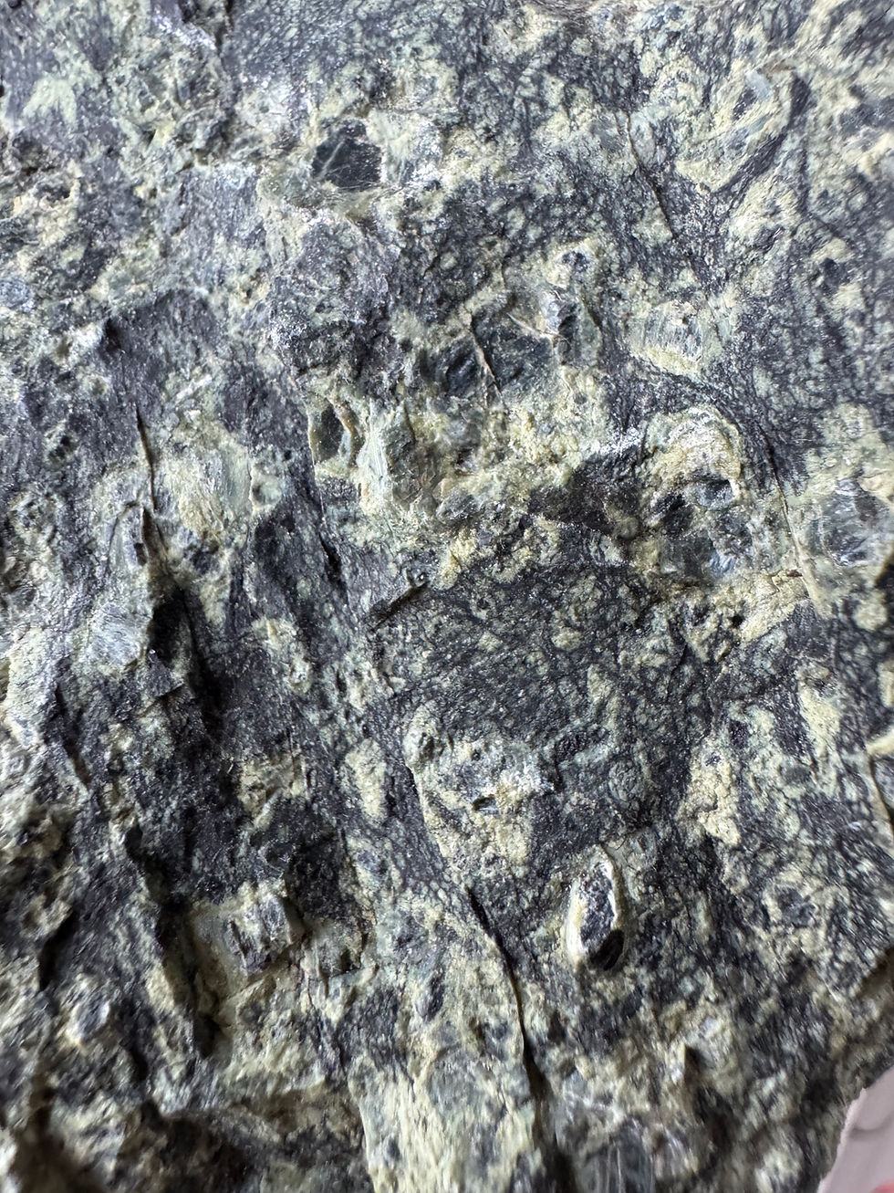 Thumbnail: Large Mount Shasta Serpentine- Mount Shasta , USA