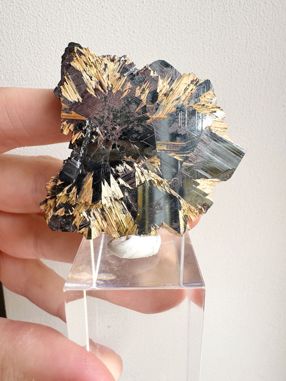 Thumbnail: Rare Hematite and Golden Rutile