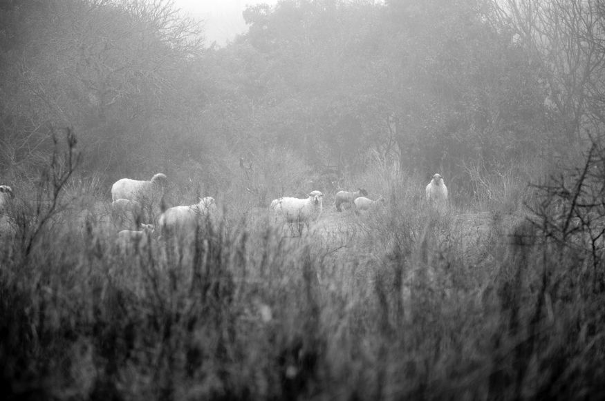 Captura de pantalla 2016-09-14 a las 11.59.36 copia.jpg