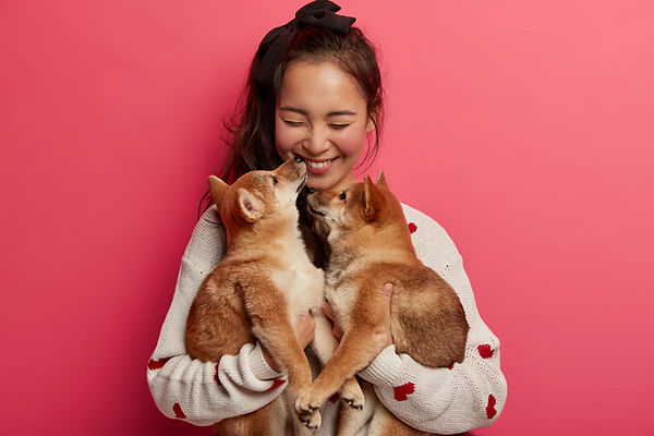 human-animal-friendship-concept-cheerful-girl-happy-get-two-pedigree-puppies-her-birthday-