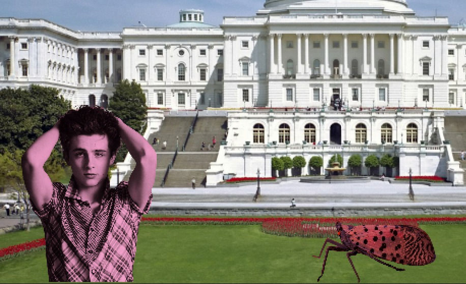 The New Arcade - Week 01