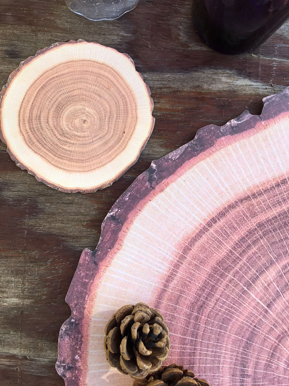 Thumbnail: Pack of 10 Paper Log Placemats and 10 log coasters