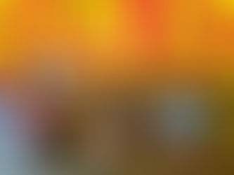 La presse parle de la fête !