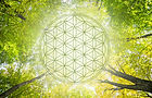 AdobeStock_83717346.jpeg