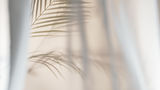 AdobeStock_478012955.jpeg