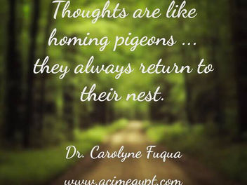 Thoughts & Pigeons