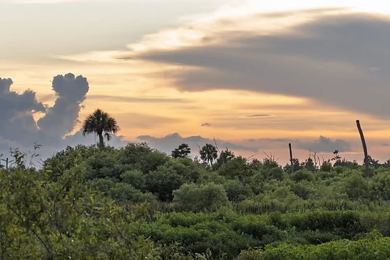 Cloudy-Sunset-Over-Circle-B-Wetlands.jpg