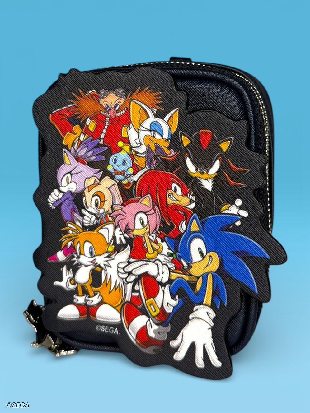 Sonic the Hedgehog - Sonic Crew Joy-con & Game Storage Bag - FLYT