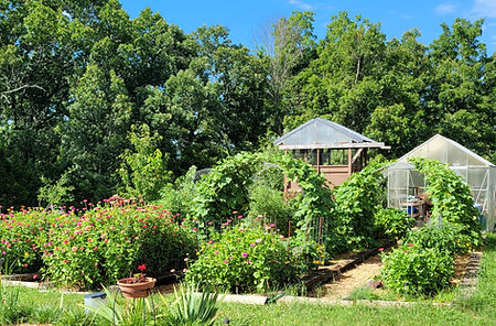 20240705_094345_edited.jpg