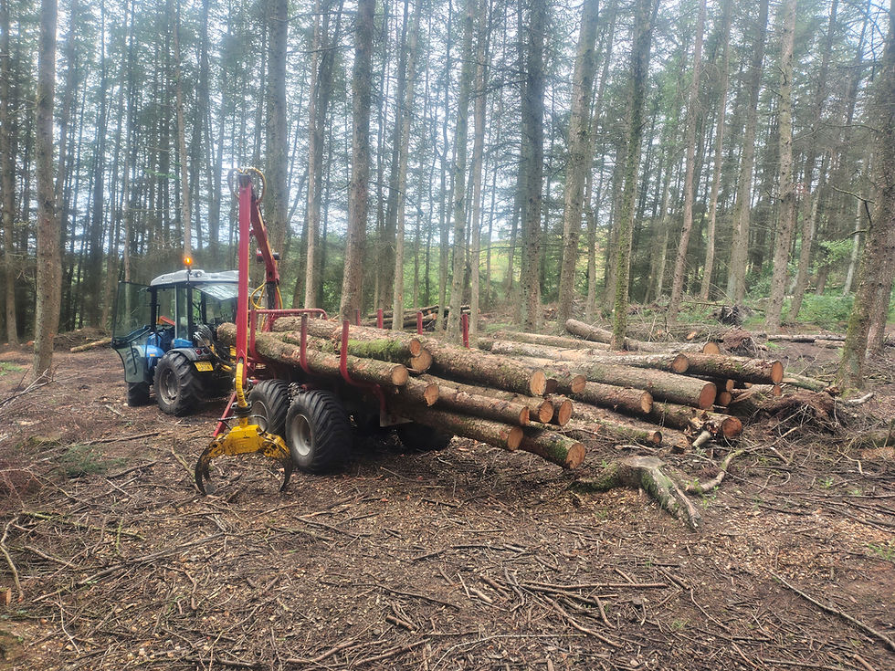 Timber extraction
