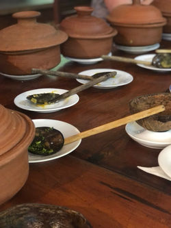 Coconut shell spoons