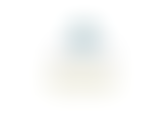 Chief of Pediatric Transplant Surgery at Seattle Children’s Hospital