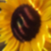 17889310057064311.jpg