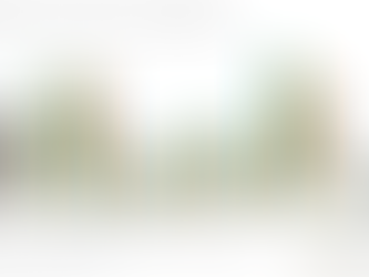 Global Economic Outlook for 2025: Slight Upward Revisions in GDP Growth Projections Amid Trade Barriers and Geopolitical Tensions