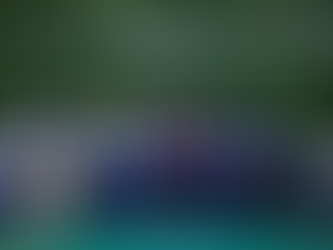 COP30 in Belém, Brazil: Day 5 Spotlights Energy Transformation, Trade Barriers, and Systems Overhaul Amid Trump Tariffs and Climate Goals