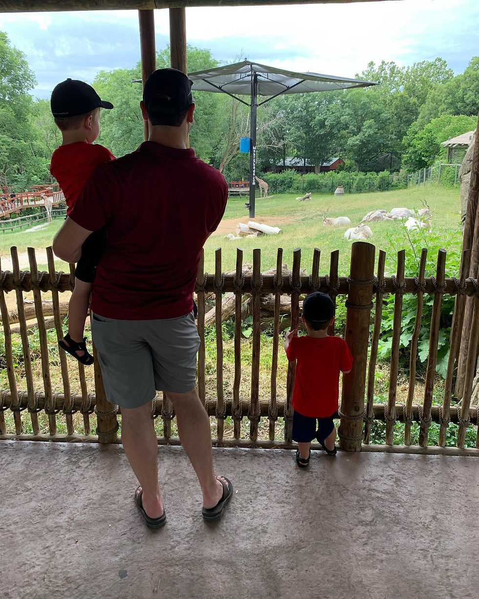 daddy and boys at zoo