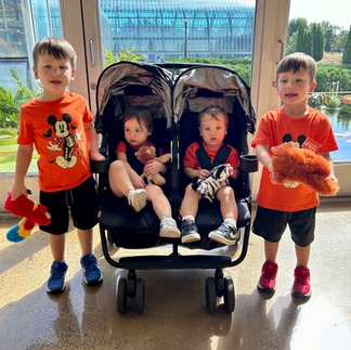 two sets of twins