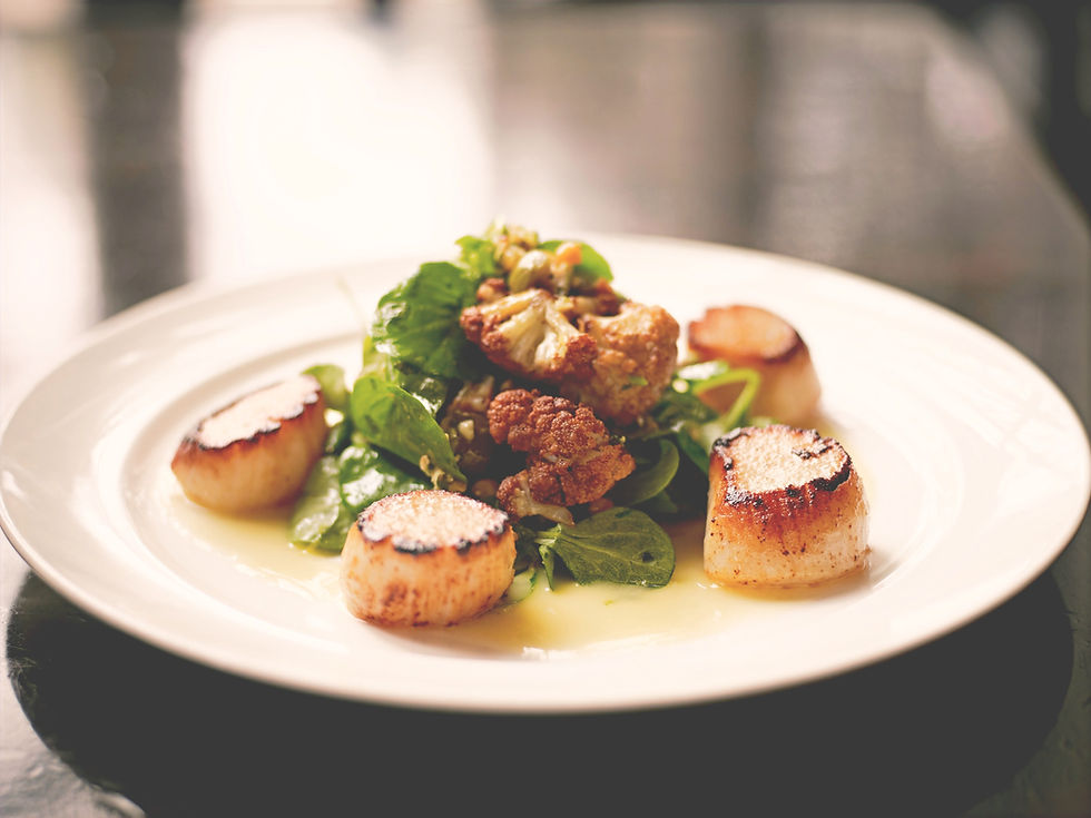 Main%20Course%20Gourmet%20Meal_edited.jpg