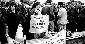 1995.jpg