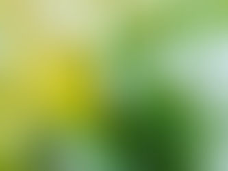 Jaro je tu, co nás podpoří v tomto období?