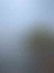 PXL_20251106_052256380