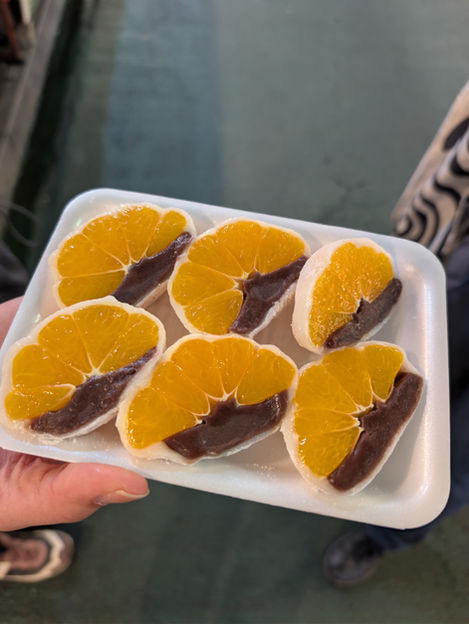 PXL_20251126_100914556