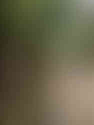 PXL_20251021_010959282~2