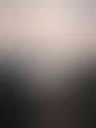 PXL_20251107_075143174