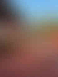 Photo from Kamilė(9)