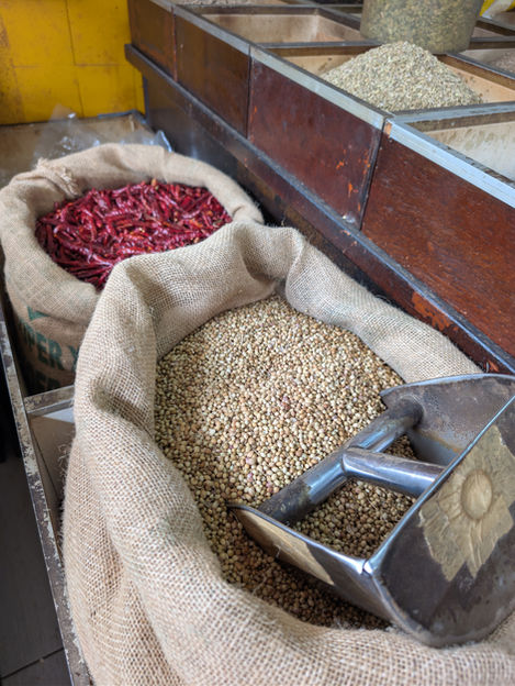 PXL_20251110_032843909