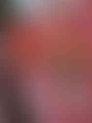 PXL_20251107_085318742