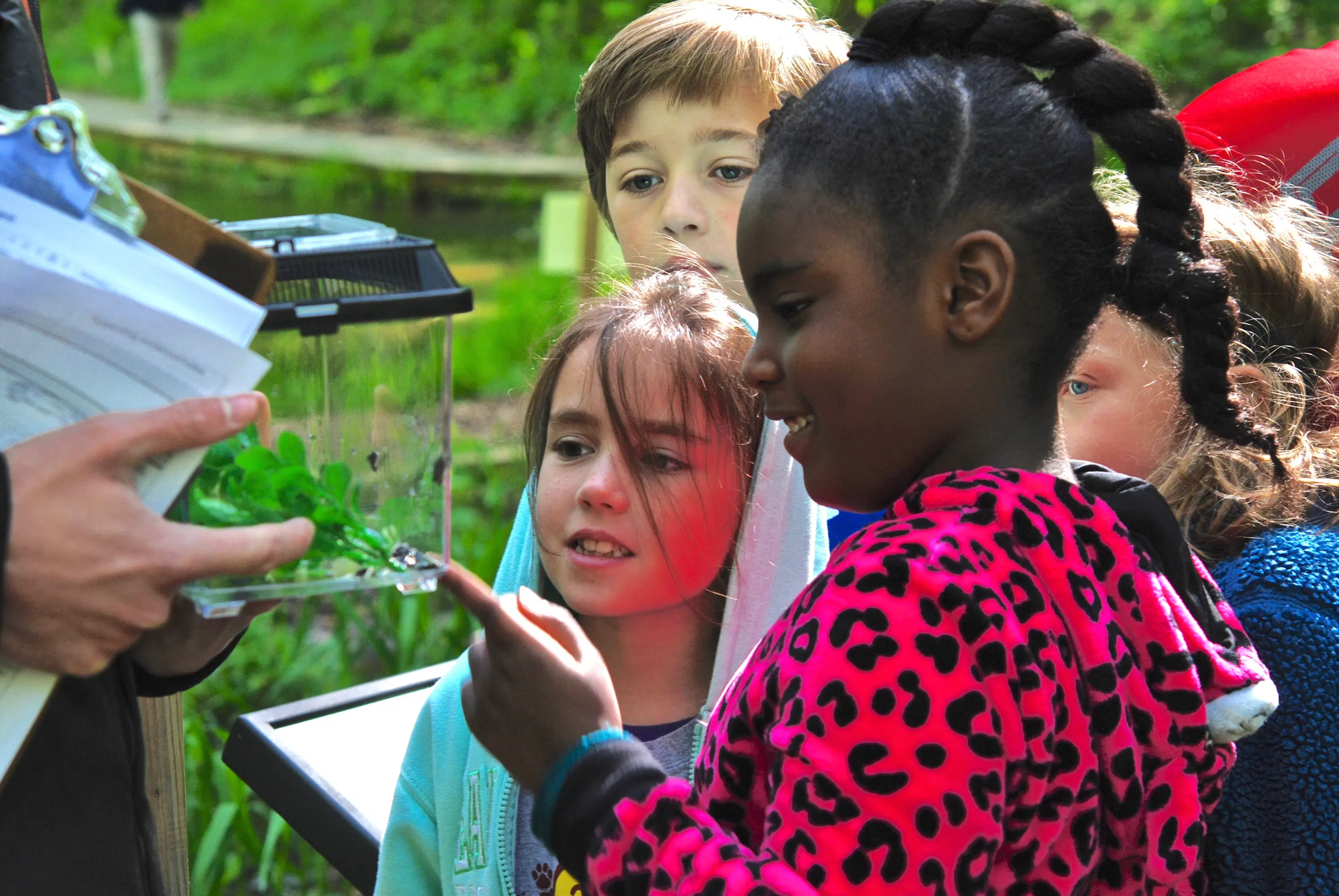 Releasing-local-frogs-and-toads-through-our-Frogs-in-the-Classroom-pilot-program-3000x2008