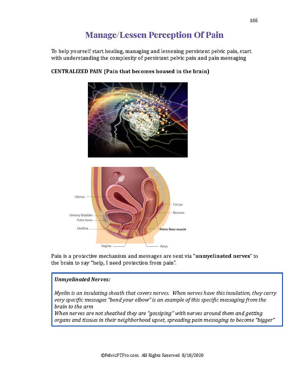Thumbnail: Persistent Pelvic Pain Clinical Approach