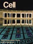 Cell  nov 2005 cover.gif