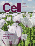 Cell June 2009 cover.gif