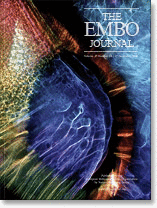 EmboJ 2013.cover-source.gif