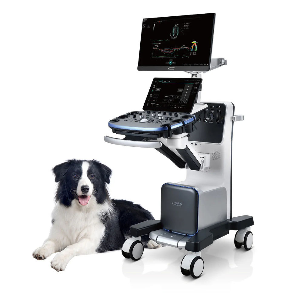 Sistema de Ultrasonido Veterinario VETUS9, vetus 9 Premium + Transductores