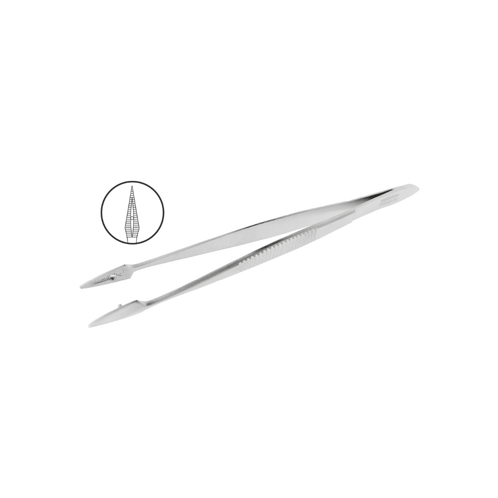 Pinza Carmalt Splinter, recta