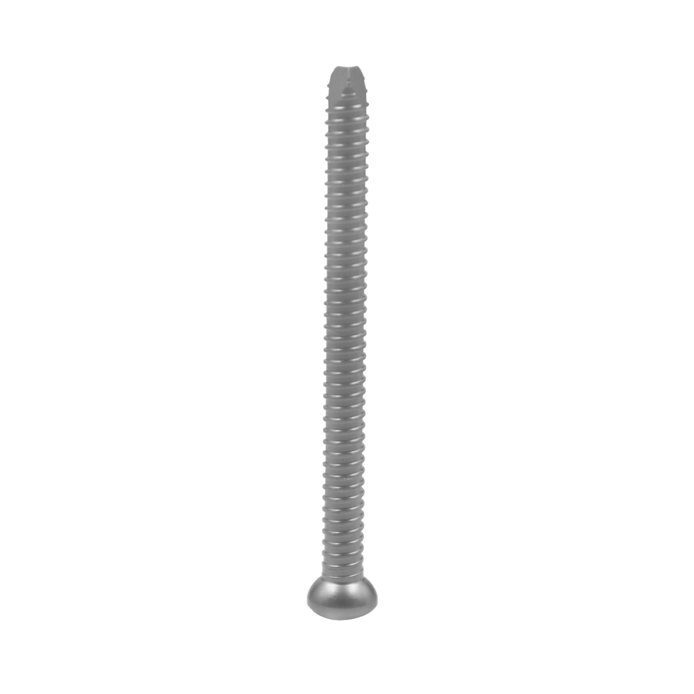 Tornillo de bloqueo del clavo femoral, φ4.5*80mm