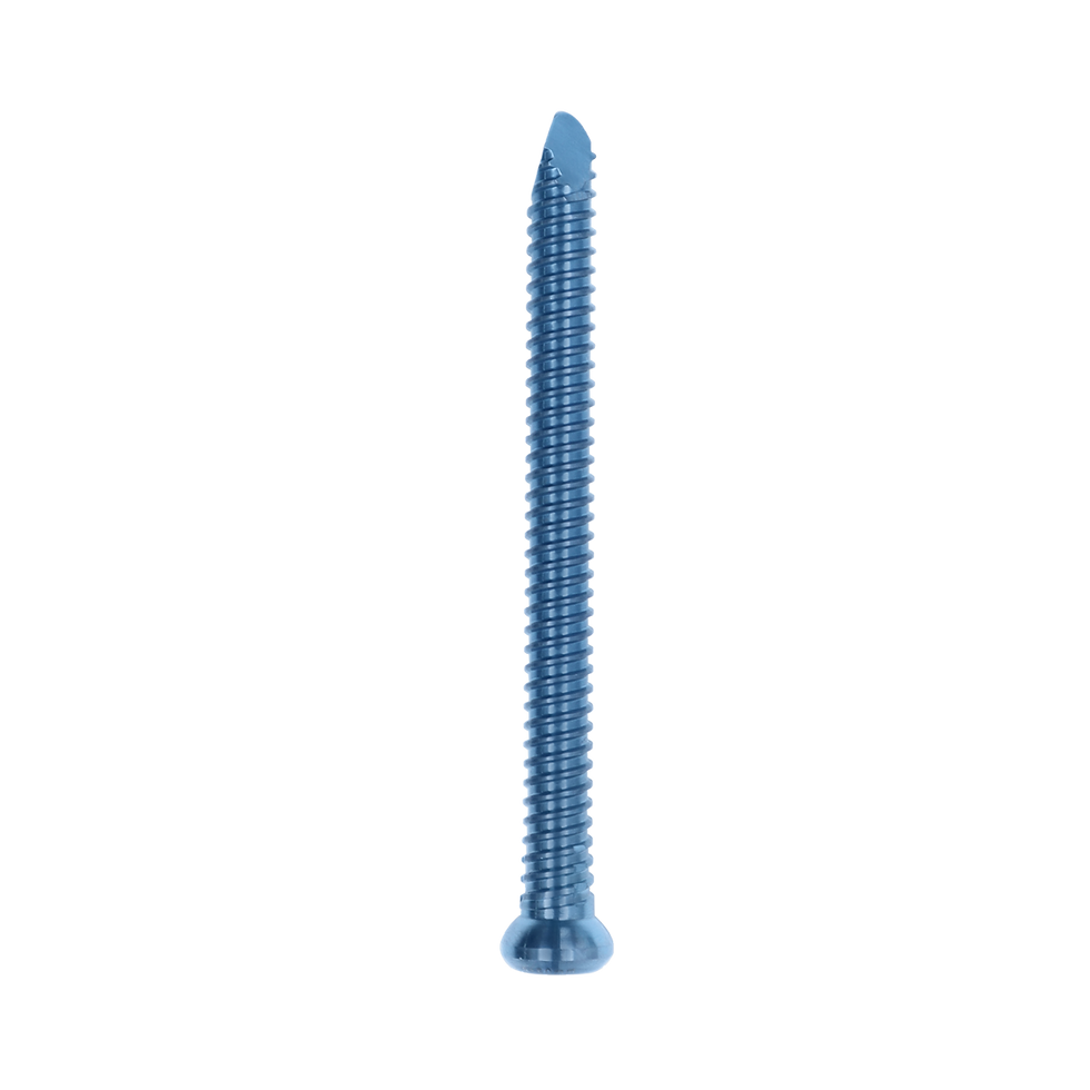 Tornillo de bloqueo femoral MR-IM, φ4.9*76mm