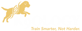 K9O26LogoCOLOR.png
