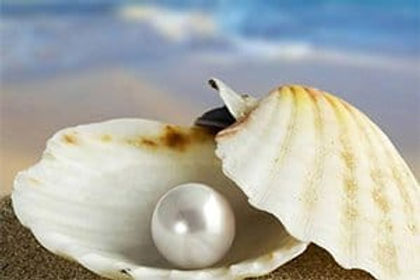 Trouver la perle rare