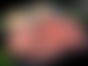 Webサイトリニューアルのお知らせ