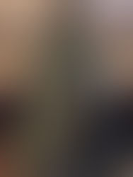 2014 White House Christmas Tour