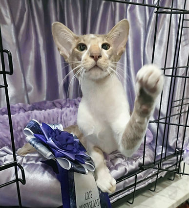 5b2e9042-729f-4701-8de5-3a60d37710e4_edi